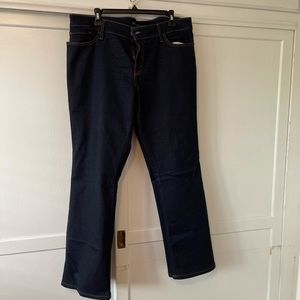 Banana Republic Curvy Boot Dark Jeans
